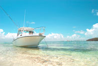 Marinas